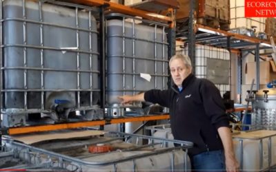 Schneider Thomas: Energy From used cooking oil to green oil