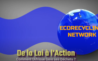 Il y a t-il des lois pour l’environnement en Afrique? Première partie